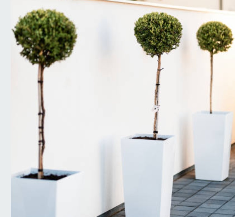 Lange plantenbakken voor een opvallende tuininrichting